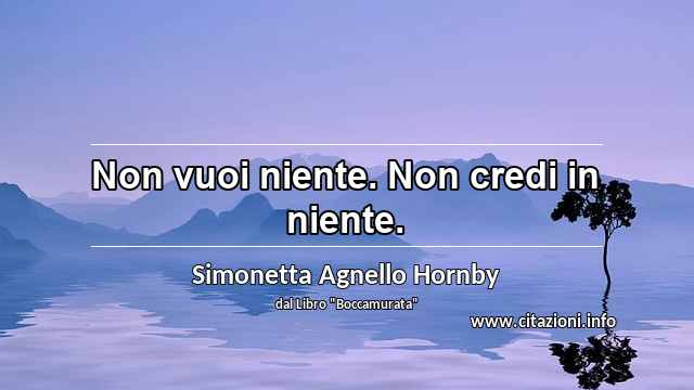 “Non vuoi niente. Non credi in niente.”