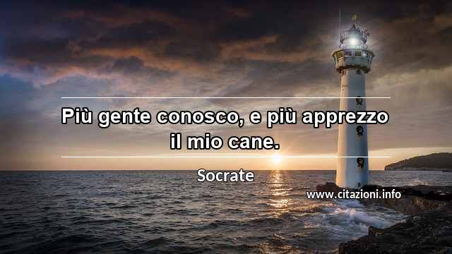 “Più gente conosco, e più apprezzo il mio cane.”