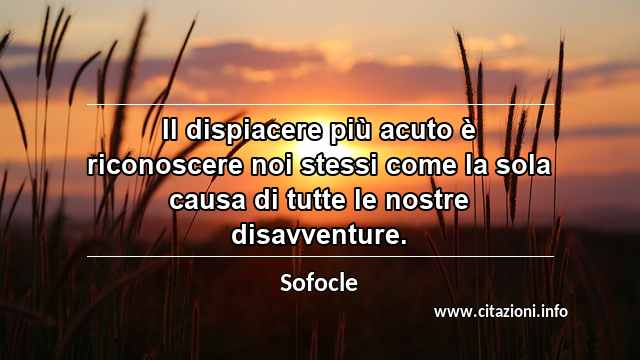 “Il dispiacere più acuto è riconoscere noi stessi come la sola causa di tutte le nostre disavventure.”