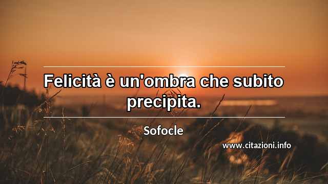 “Felicità è un'ombra che subito precipita.”