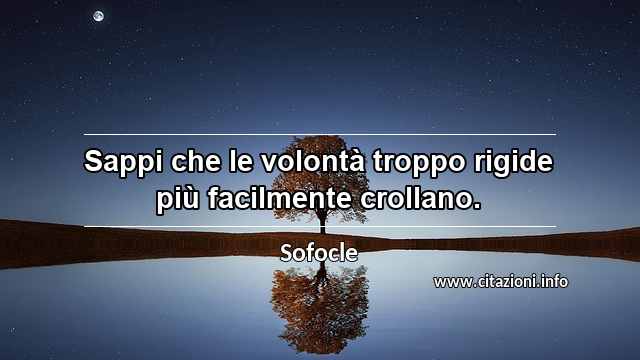 “Sappi che le volontà troppo rigide più facilmente crollano.”