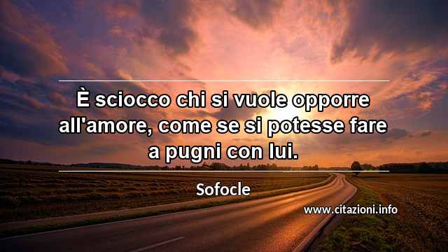 “È sciocco chi si vuole opporre all'amore, come se si potesse fare a pugni con lui.”