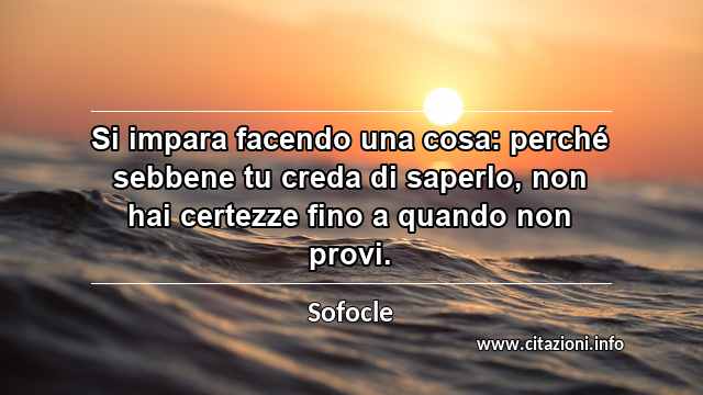 “Si impara facendo una cosa: perché sebbene tu creda di saperlo, non hai certezze fino a quando non provi.”