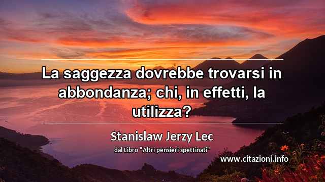 “La saggezza dovrebbe trovarsi in abbondanza; chi, in effetti, la utilizza?”