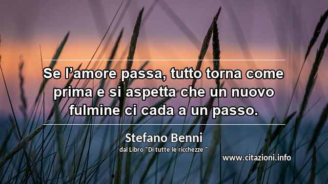 “Se l’amore passa, tutto torna come prima e si aspetta che un nuovo fulmine ci cada a un passo.”