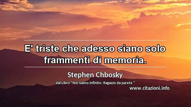“E' triste che adesso siano solo frammenti di memoria.”