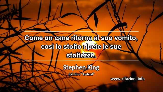“Come un cane ritorna al suo vomito, così lo stolto ripete le sue stoltezze.”