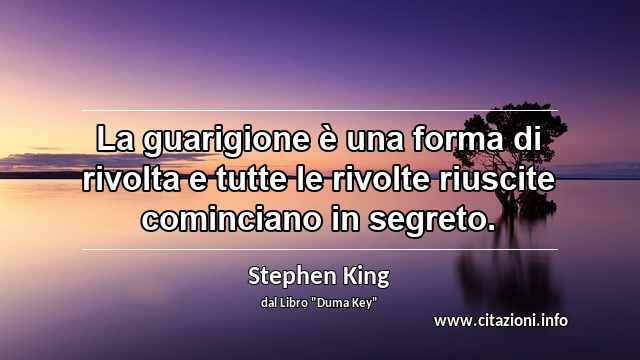 “La guarigione è una forma di rivolta e tutte le rivolte riuscite cominciano in segreto.”