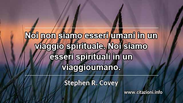 “Noi non siamo esseri umani in un viaggio spirituale. Noi siamo esseri spirituali in un viaggioumano.”