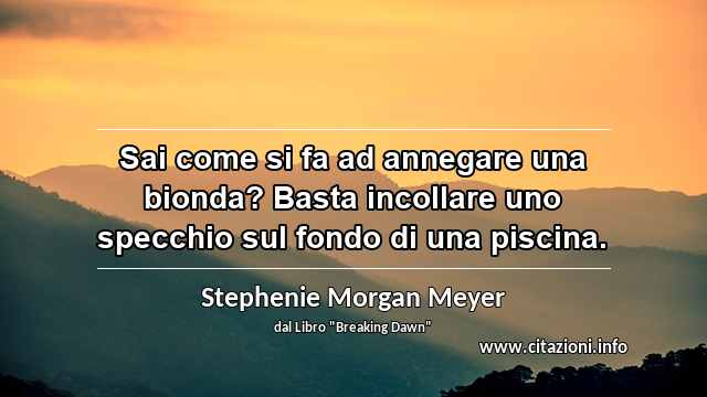 “Sai come si fa ad annegare una bionda? Basta incollare uno specchio sul fondo di una piscina.”