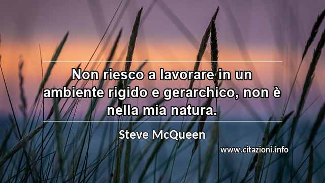 “Non riesco a lavorare in un ambiente rigido e gerarchico, non è nella mia natura.”