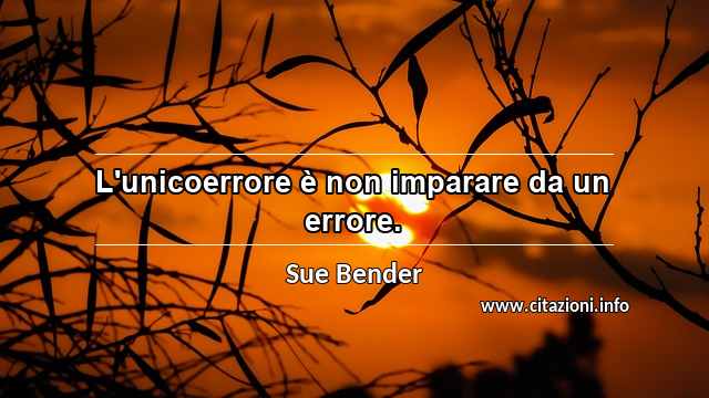 “L'unicoerrore è non imparare da un errore.”