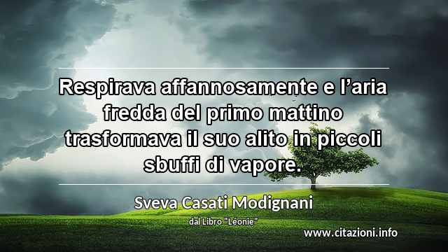 “Respirava affannosamente e l’aria fredda del primo mattino trasformava il suo alito in piccoli sbuffi di vapore.”