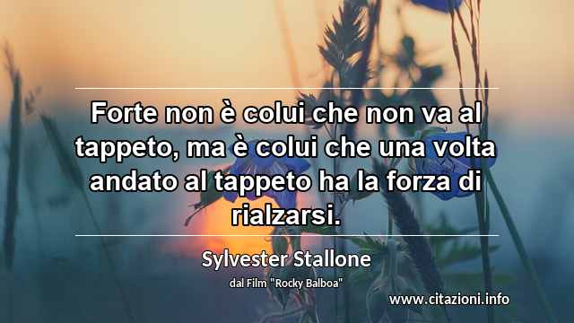 “Forte non è colui che non va al tappeto, ma è colui che una volta andato al tappeto ha la forza di rialzarsi.”