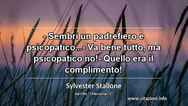 “- Sembri un padrefiero e psicopatico...- Va bene tutto, ma psicopatico no!- Quello era il complimento!”