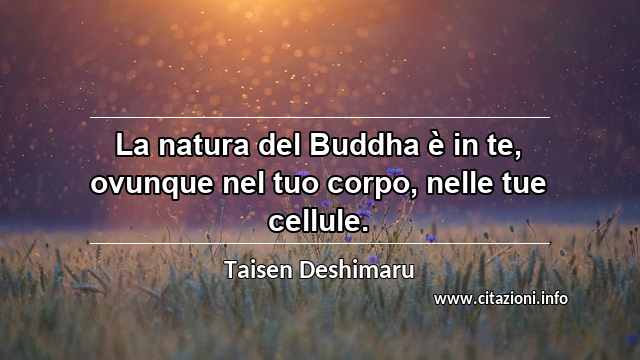 “La natura del Buddha è in te, ovunque nel tuo corpo, nelle tue cellule.”