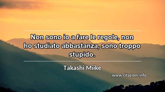 “Non sono io a fare le regole, non ho studiato abbastanza, sono troppo stupido.”