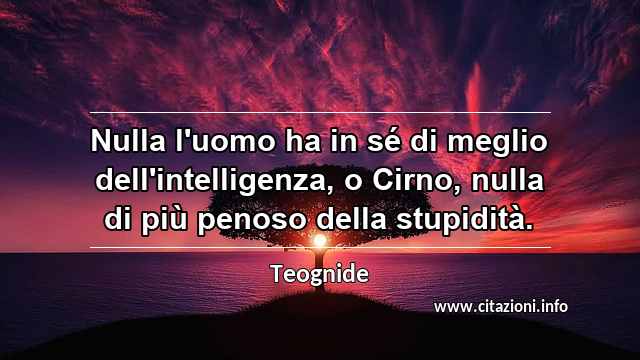 “Nulla l'uomo ha in sé di meglio dell'intelligenza, o Cirno, nulla di più penoso della stupidità.”