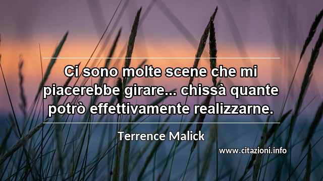 “Ci sono molte scene che mi piacerebbe girare... chissà quante potrò effettivamente realizzarne.”