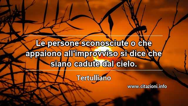 “Le persone sconosciute o che appaiono all'improvviso si dice che siano cadute dal cielo.”