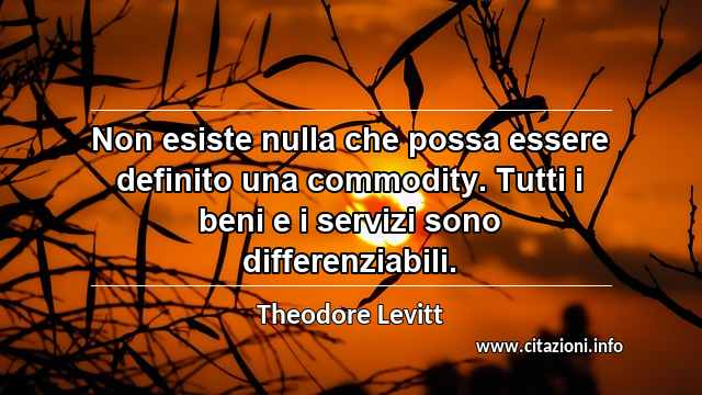 “Non esiste nulla che possa essere definito una commodity. Tutti i beni e i servizi sono differenziabili.”