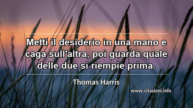 “Metti il desiderio in una mano e caga sull'altra, poi guarda quale delle due si riempie prima.”