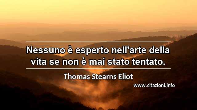 “Nessuno è esperto nell'arte della vita se non è mai stato tentato.”