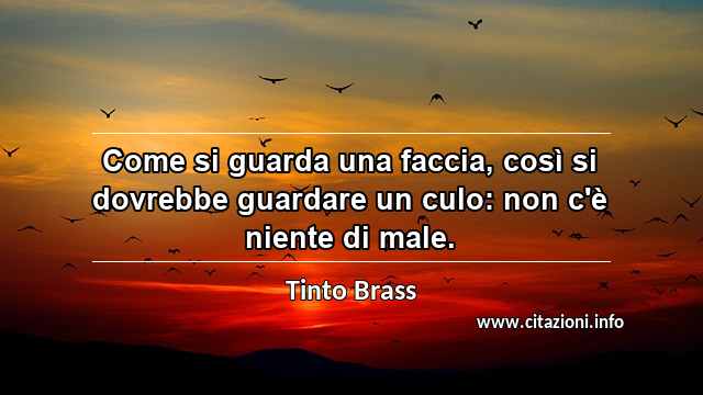 “Come si guarda una faccia, così si dovrebbe guardare un culo: non c'è niente di male.”