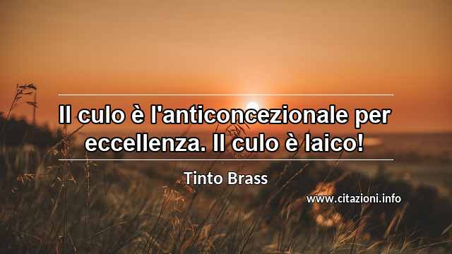“Il culo è l'anticoncezionale per eccellenza. Il culo è laico!”