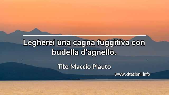 “Legherei una cagna fuggitiva con budella d'agnello.”