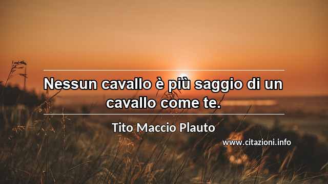 “Nessun cavallo è più saggio di un cavallo come te.”