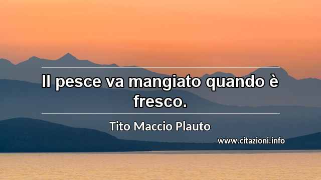 “Il pesce va mangiato quando è fresco.”