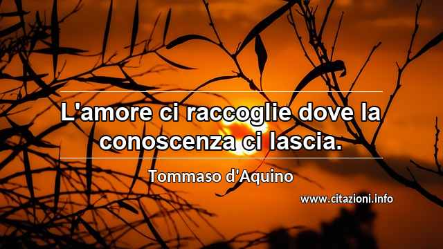 “L'amore ci raccoglie dove la conoscenza ci lascia.”