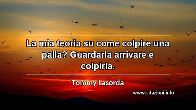 “La mia teoria su come colpire una palla? Guardarla arrivare e colpirla.”