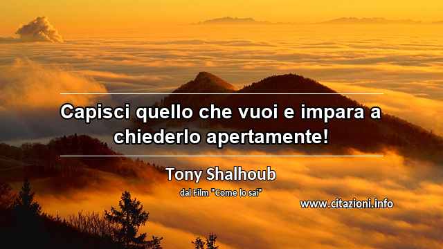 “Capisci quello che vuoi e impara a chiederlo apertamente!	”