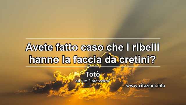“Avete fatto caso che i ribelli hanno la faccia da cretini?”