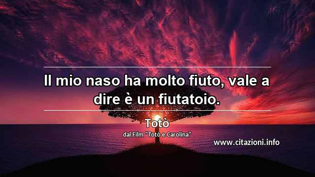 “Il mio naso ha molto fiuto, vale a dire è un fiutatoio.”