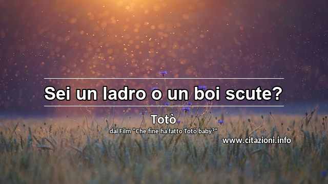 “Sei un ladro o un boi scute?”