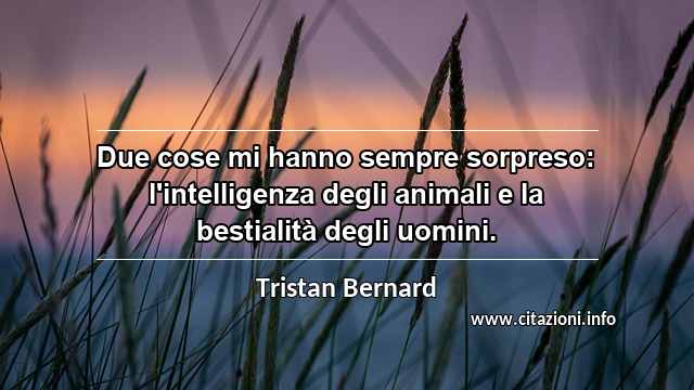 “Due cose mi hanno sempre sorpreso: l'intelligenza degli animali e la bestialità degli uomini.”