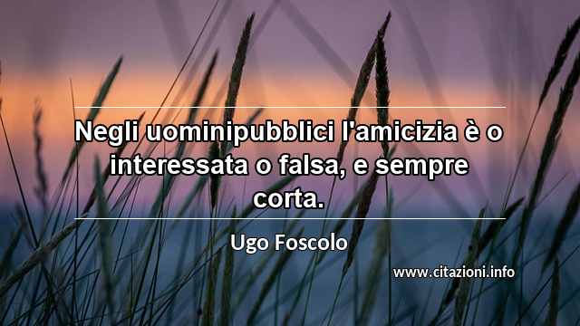 “Negli uominipubblici l'amicizia è o interessata o falsa, e sempre corta.”