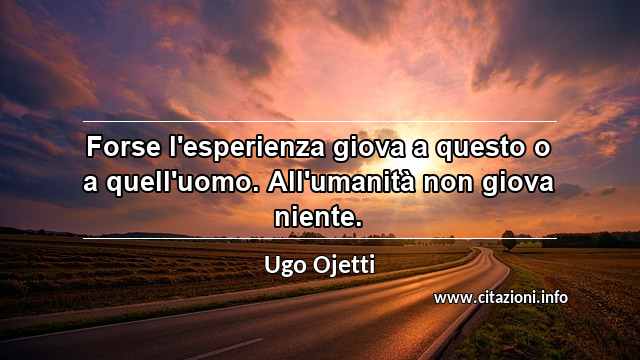 “Forse l'esperienza giova a questo o a quell'uomo. All'umanità non giova niente.”