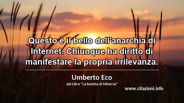 “Questo è il bello dell'anarchia di Internet. Chiunque ha diritto di manifestare la propria irrilevanza.”