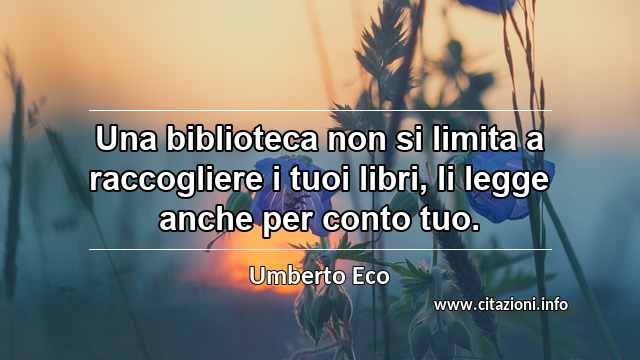 “Una biblioteca non si limita a raccogliere i tuoi libri, li legge anche per conto tuo.”