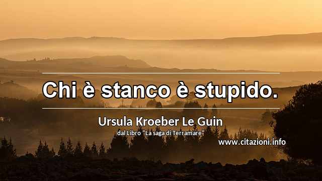 “Chi è stanco è stupido.”