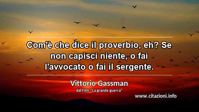 “Com'è che dice il proverbio, eh? Se non capisci niente, o fai l'avvocato o fai il sergente.”