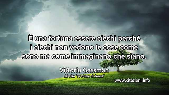 “È una fortuna essere ciechi perché i ciechi non vedono le cose come sono ma come immaginano che siano.”