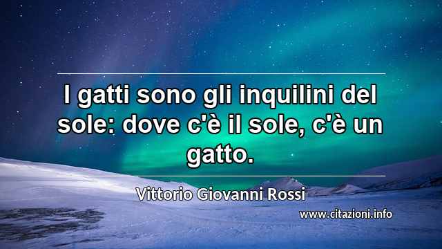 “I gatti sono gli inquilini del sole: dove c'è il sole, c'è un gatto.”
