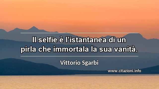 “Il selfie è l’istantanea di un pirla che immortala la sua vanità.”