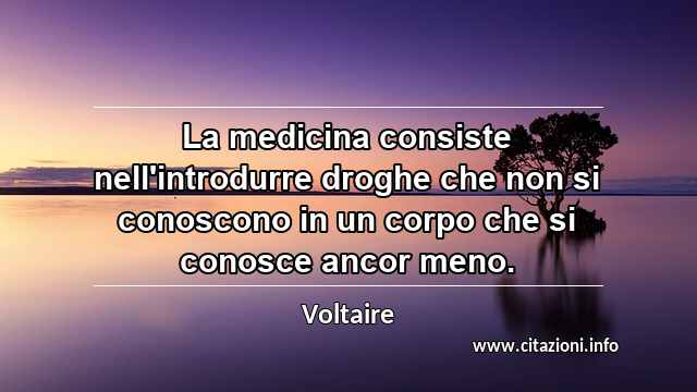 “La medicina consiste nell'introdurre droghe che non si conoscono in un corpo che si conosce ancor meno.”