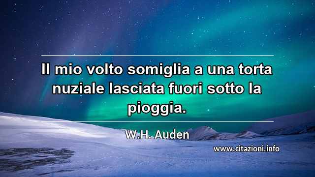 “Il mio volto somiglia a una torta nuziale lasciata fuori sotto la pioggia.”